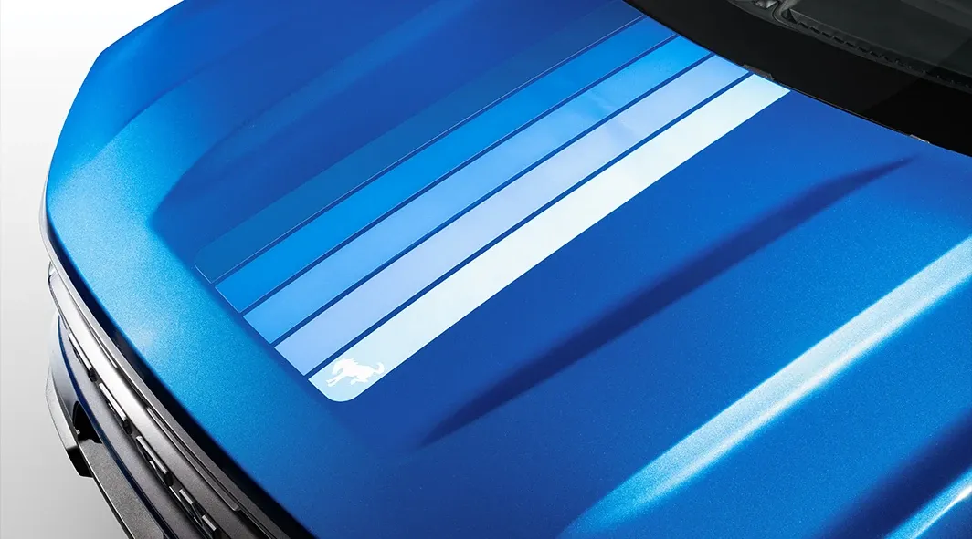 Blue Free Wheeling Body Graphic Kit