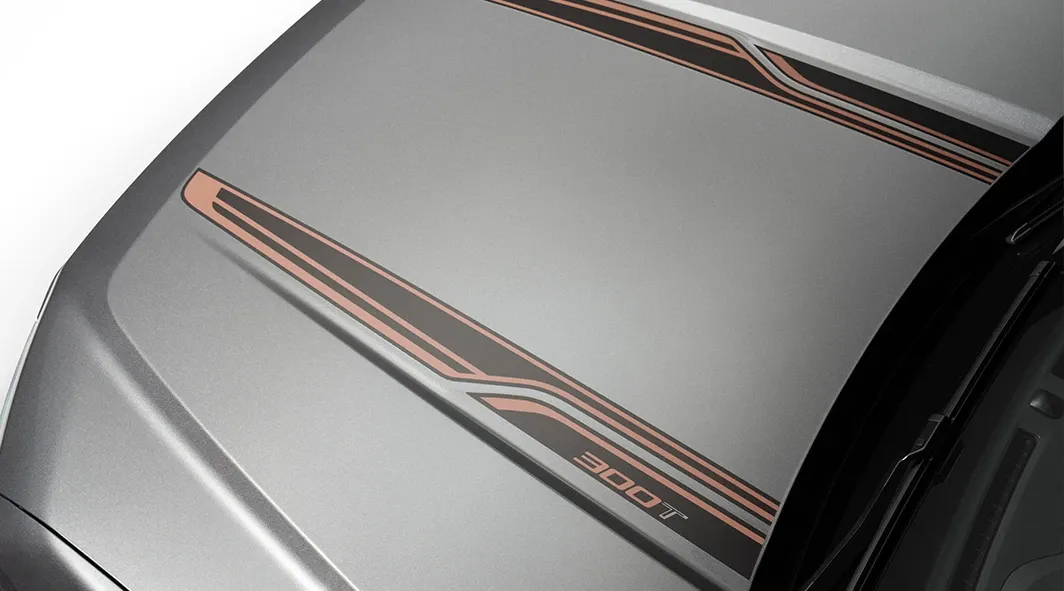 Bronze Hood Graphics