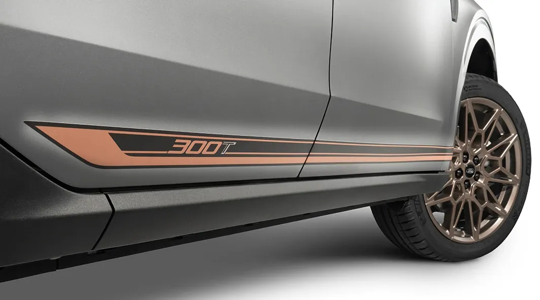 Bronze Exterior Graphics