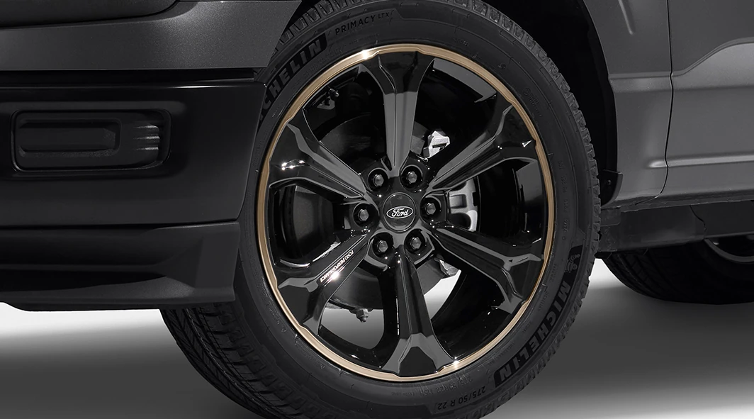 Bronze 22” x 9.5” Wheel Kit