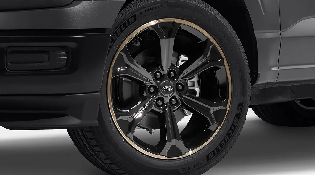 Bronze 22” x 9.5” Wheel Kit